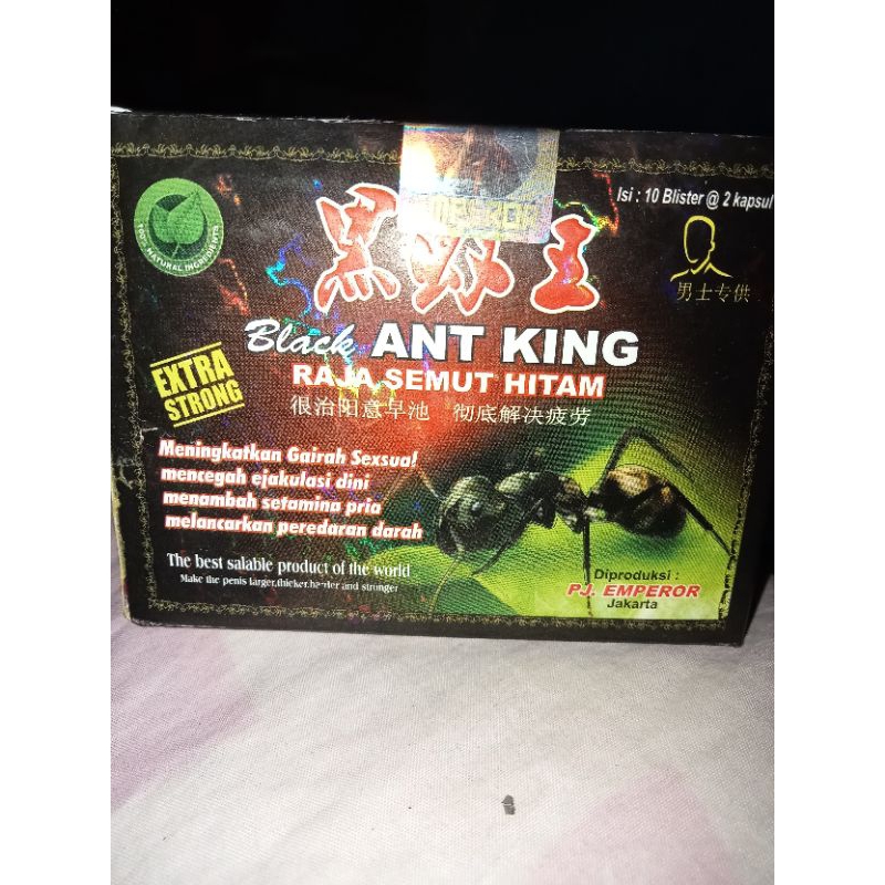 

Black ant king semut hitam