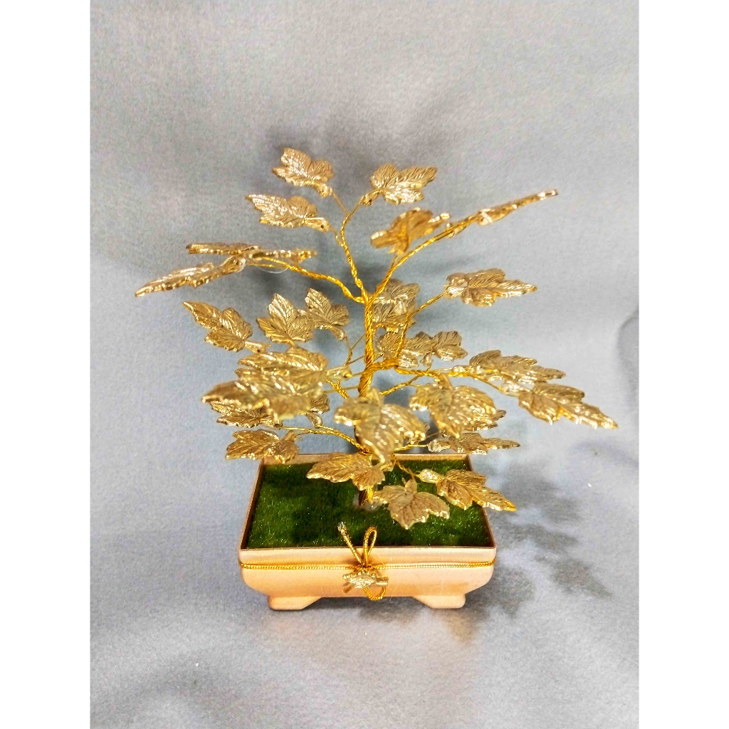 Bonsai Arbei Besar Gold Series Pot segi Gold- Pajangan Bonsai cantik