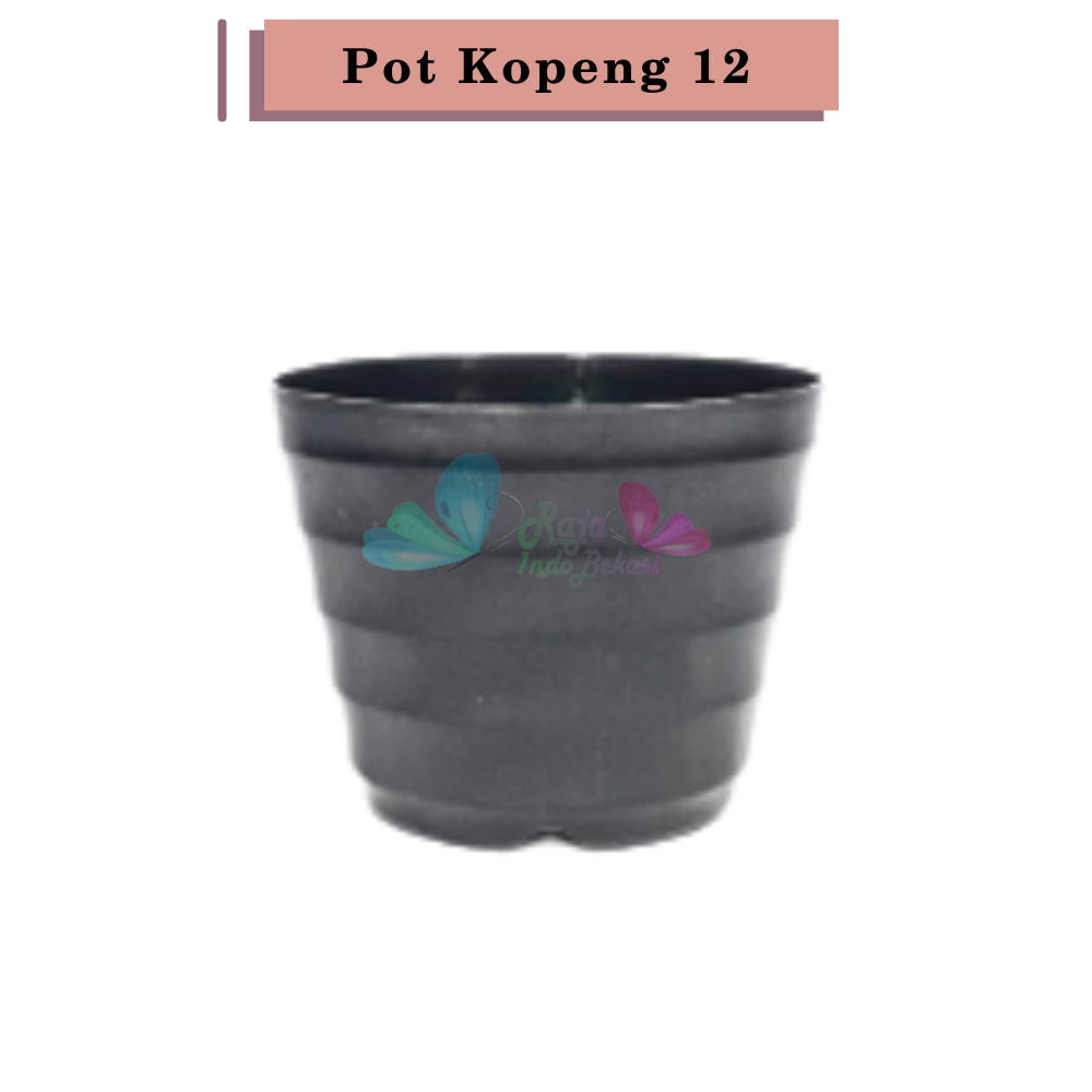 Pot Bunga Kopeng 12 Hitam By Garden Of Love Pot Plastik Mini Kaktus Murah Lucu Mirip Pot Tawon 12