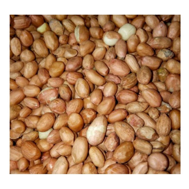 

Kacang Tanah Mentah