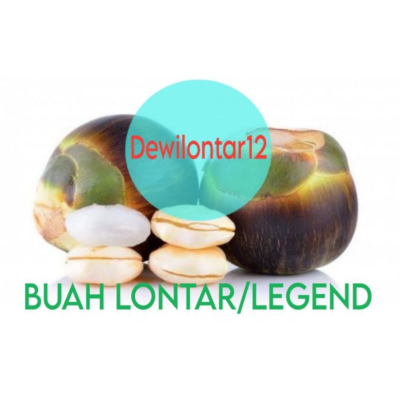 

BUAH LONTAR/LEGEND UTUH