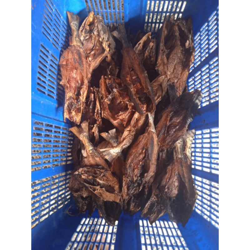 

ready ikan asap baung