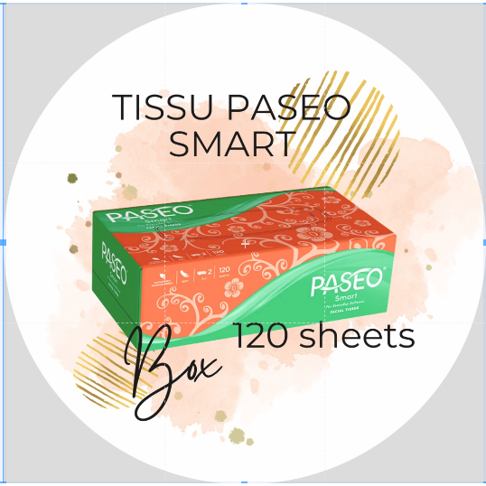 Paket paseo smart box