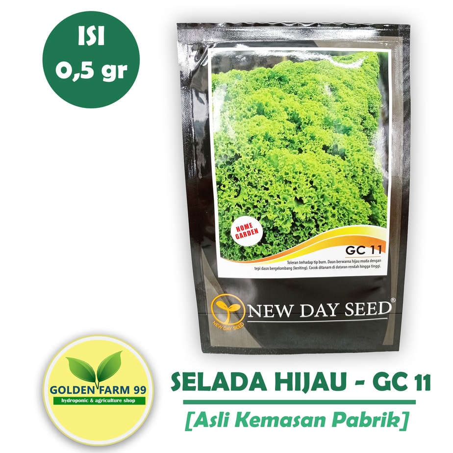 Benih Bibit Selada Green Coral GC 11 New day seed