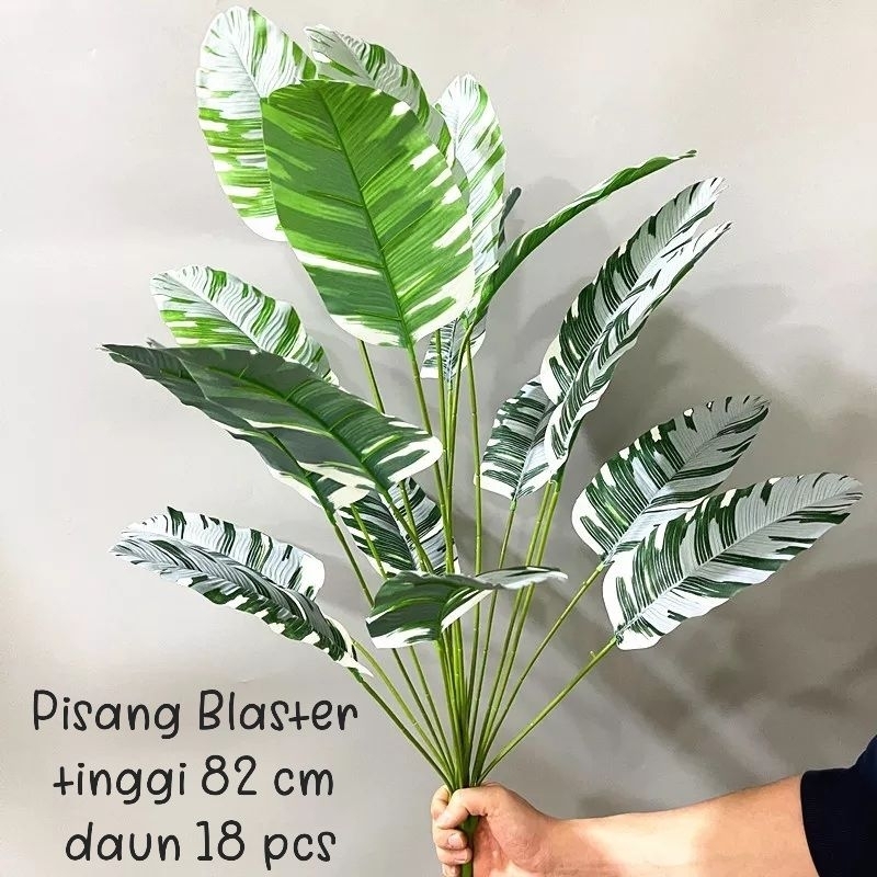 Pohon Pisang Tinggi 1 meter x24 Daun ( TANPA POT )