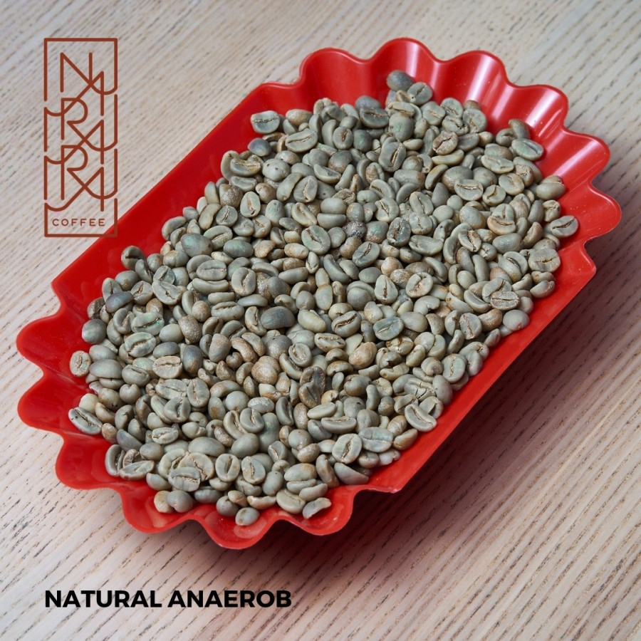 

Green Bean 1kg NATURAL ANAEROB - Sumatra Arabika Sipirok Biji Kopi