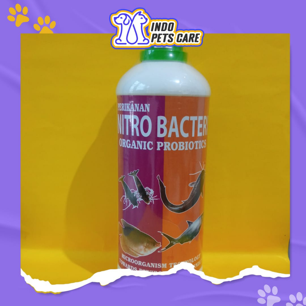 OBAT PROBIOTIK IKAN - NITROBACTER 1000ML ORIGINAL - MENURUNKAN PH - MENGHILANGKAN BAU - MENGURAI AMO