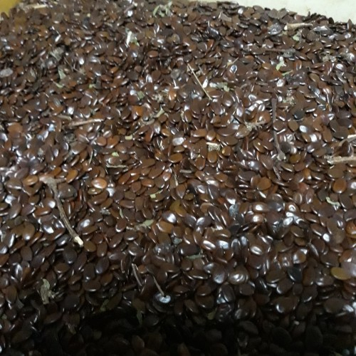 

MURAH BIJI PETE CINA/PETAI CINA KERING HERBAL 1 KG