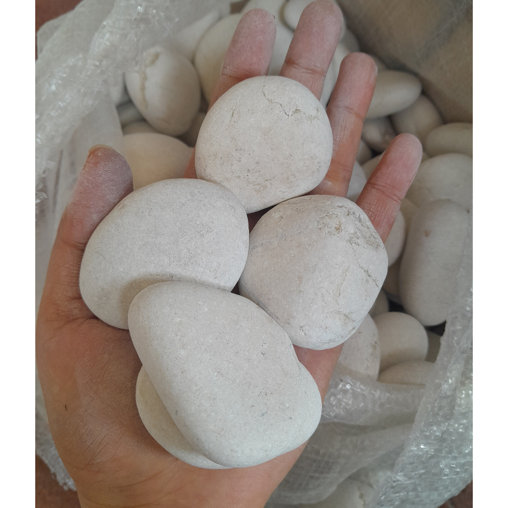 Batu koral putih/batu kupang putih besar 1Kg