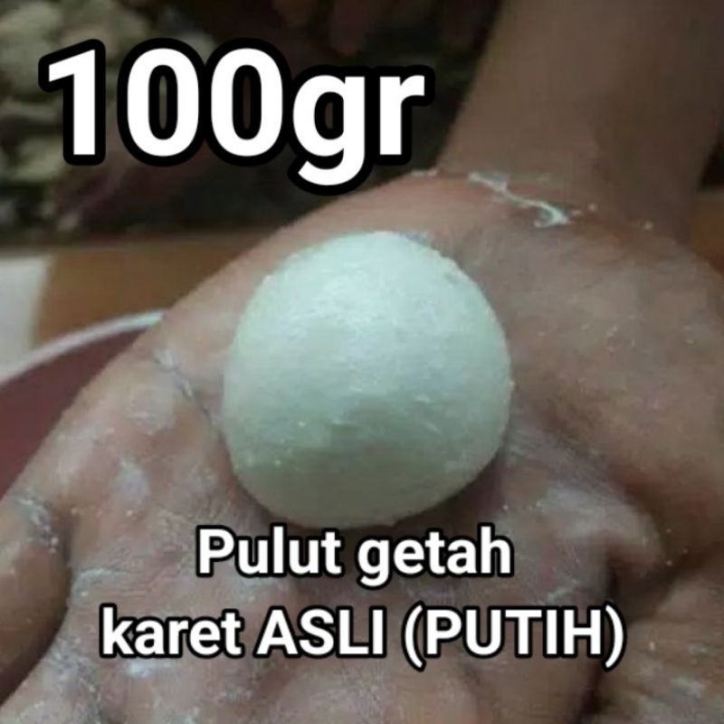 Pulut burung GETAH karet asli