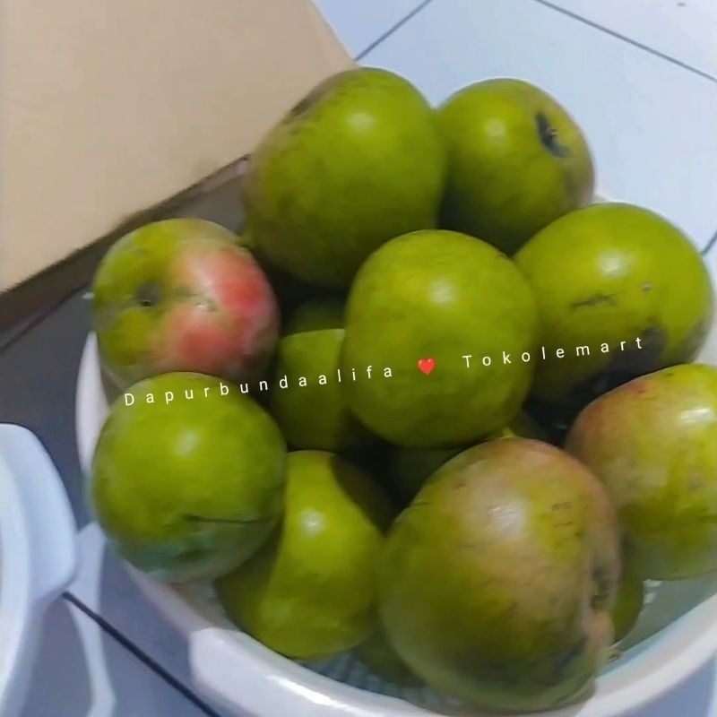 

Mangga Apel Muda Mengkal Asem Segar Fresh 1 KG cocok untuk Rujak Asinan manisan ( KHUSUS BUAH SAJA TANPA BUMBU RUJAK )