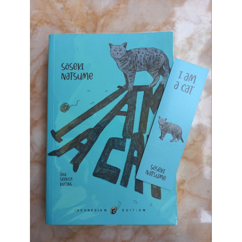 I am a cat (preloved)