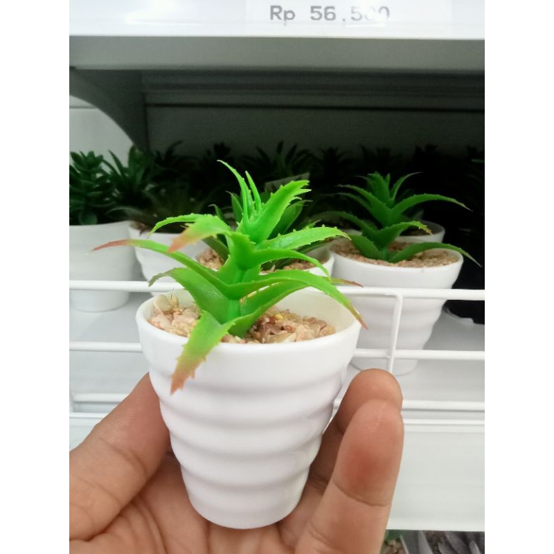 bunga kaktus palsu mini lengkap dengan pot melamin