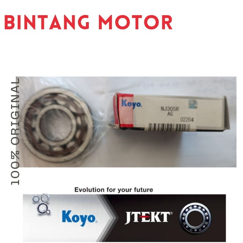 Bearing Laher NJ 305 / NJ305R Koyo Japan Original