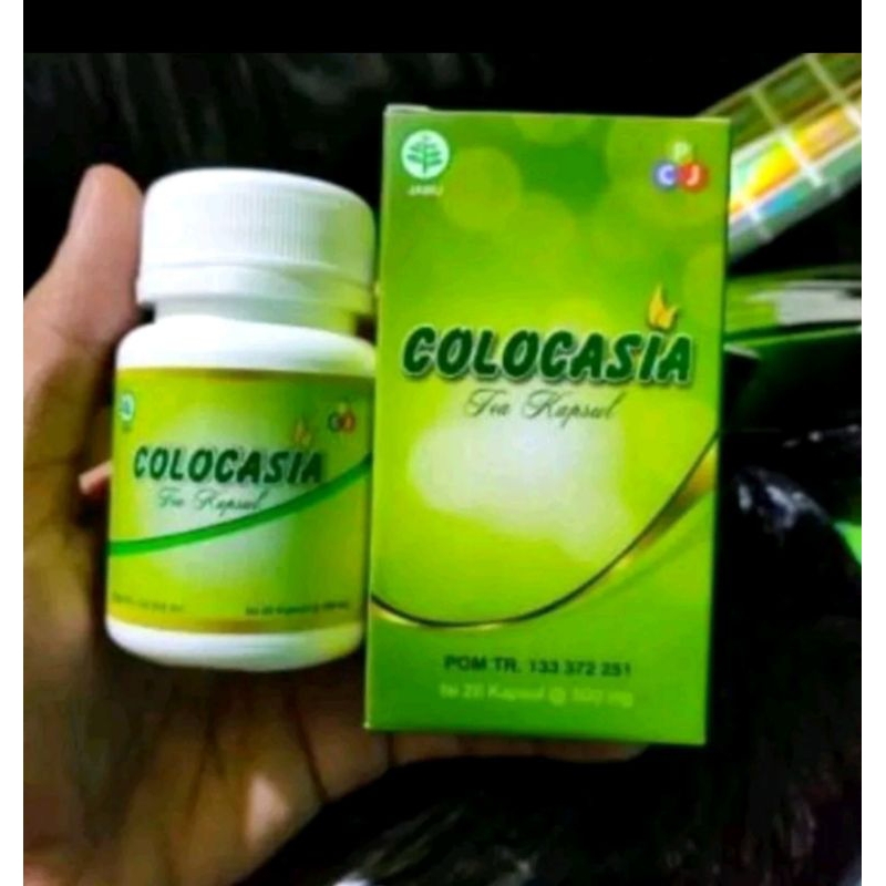 Pusat Obat Colocasia Asli Original Kualitas Bagus