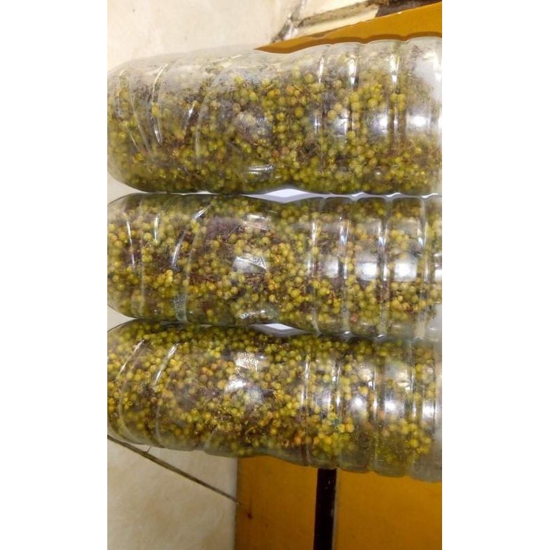 

Andaliman 100 gram