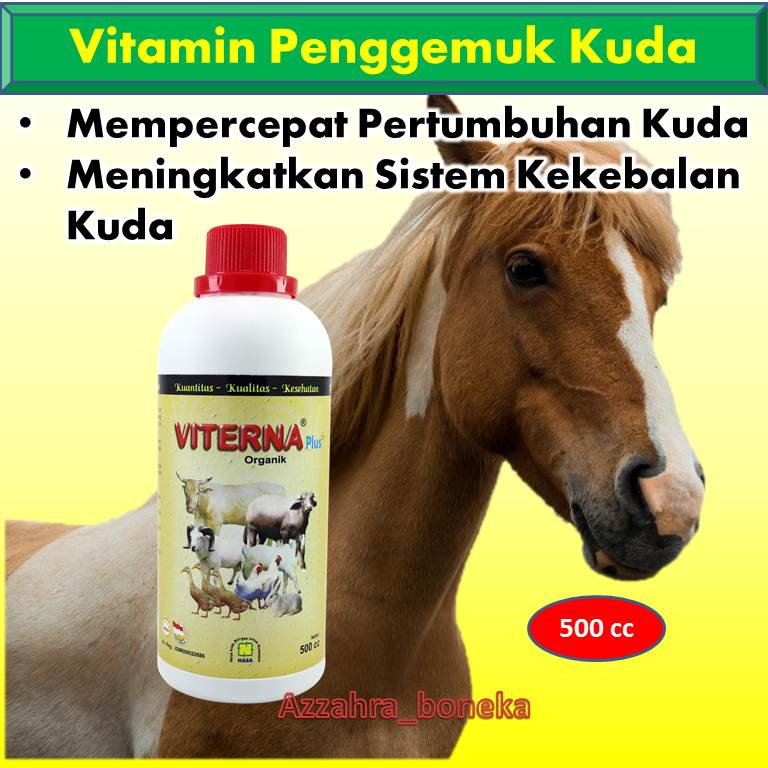 Vitamin Penggemuk Kuda 500cc / Vitamin Kuda Cepat Gemuk / Vitamin Kuda Pencegah PMK / Vitamin Kuda P