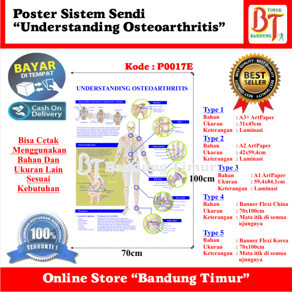 POSTER SISTEM SENDI UNDERSTANDING OSTEOARTHRITIS