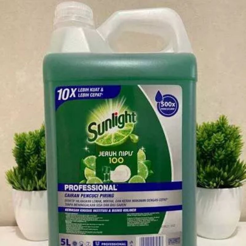 Sunlight 5 Liter Termurah Promo Terbatas
