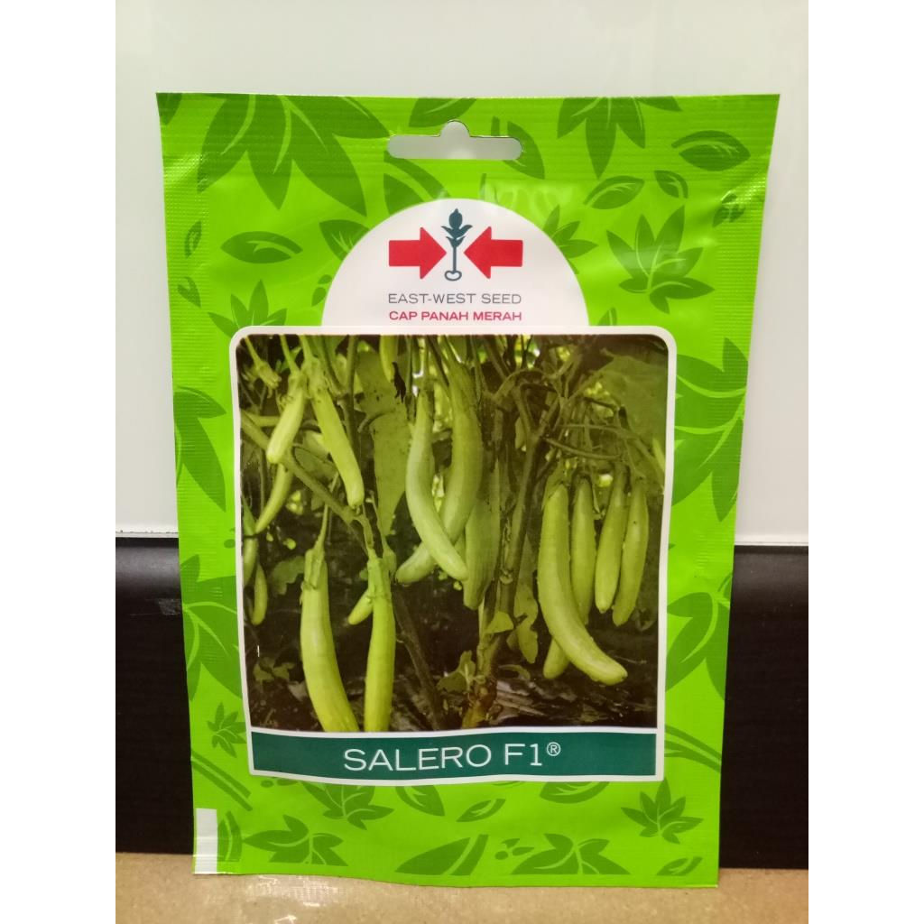 Benih Terong Hijau Cap Panah Merah varietas Salero F1 sp 400 btr