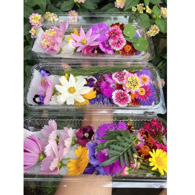 

Edible flower( luar kota)+ packing | Garnish makanan, minuman, kue | penghias makanan