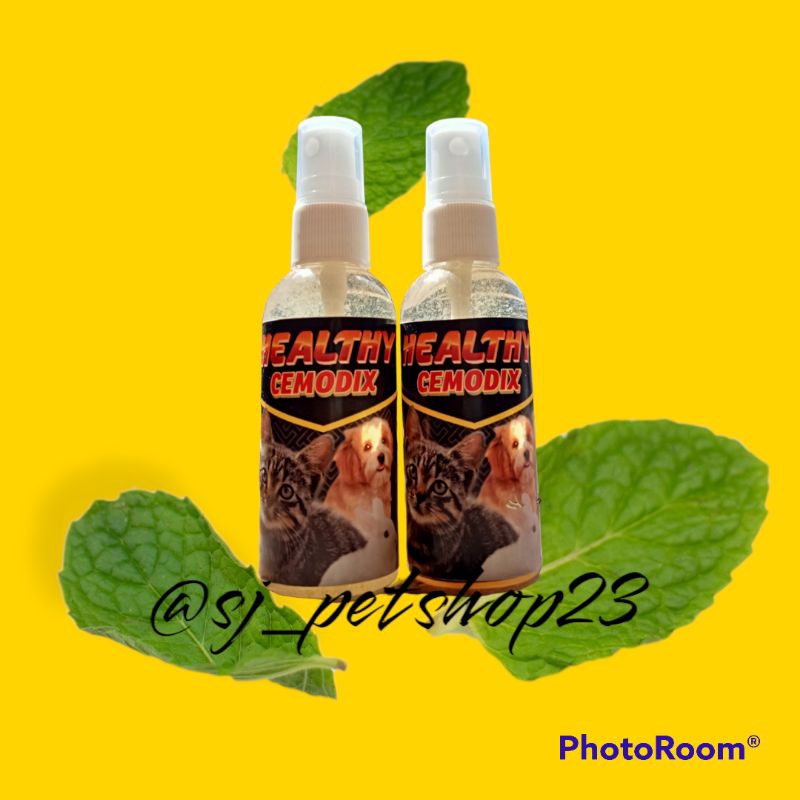 OBAT SEMPROT GATAL KUCING, SCABIES, KUDIS, JAMUR