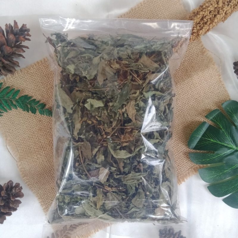 

Daun Kumis Kucing Kering Alami Tanpa Campuran 500 Gram