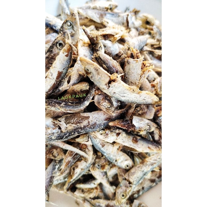 

Ikan Kembung Tawar