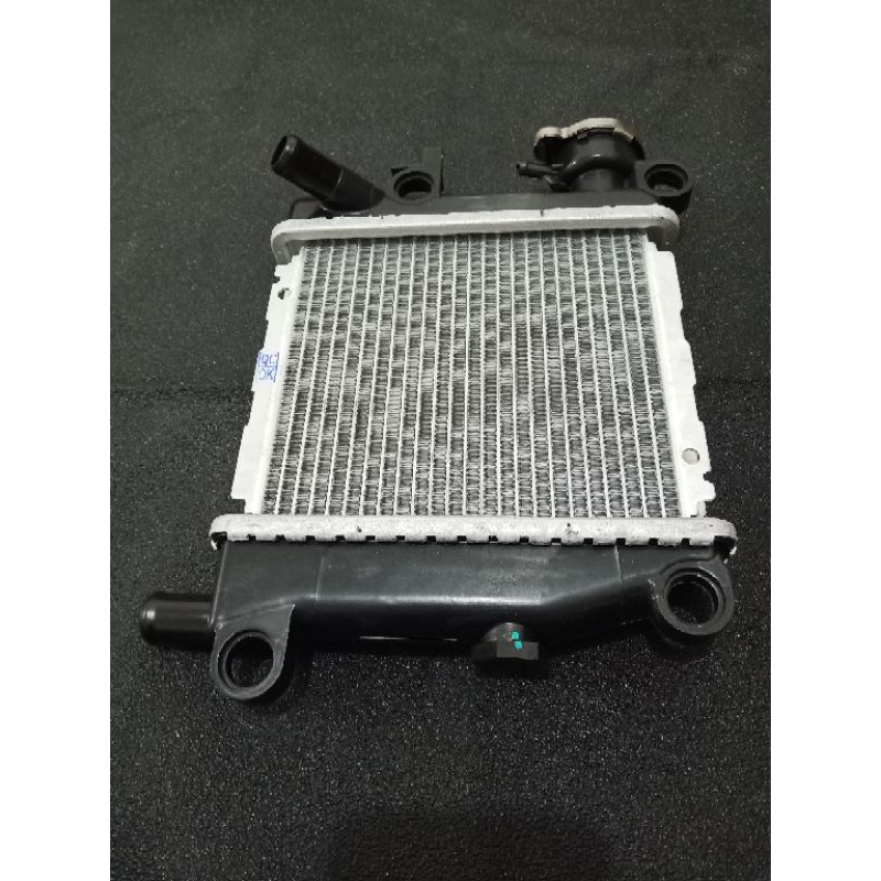 Radiator assy motor xeon