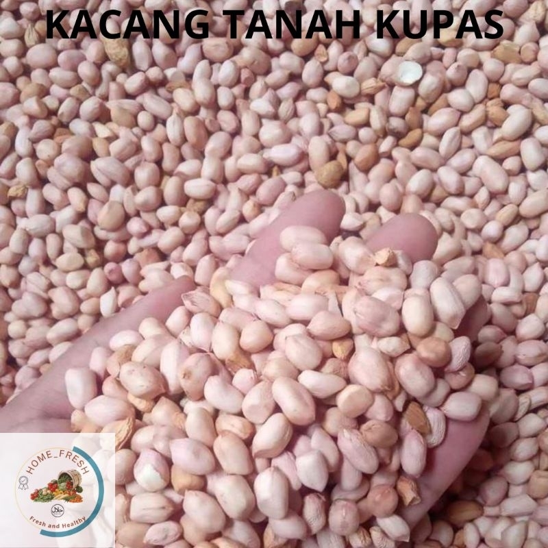 

Kacang Tanah Kupas Kering Bersih Segar 1 Kg