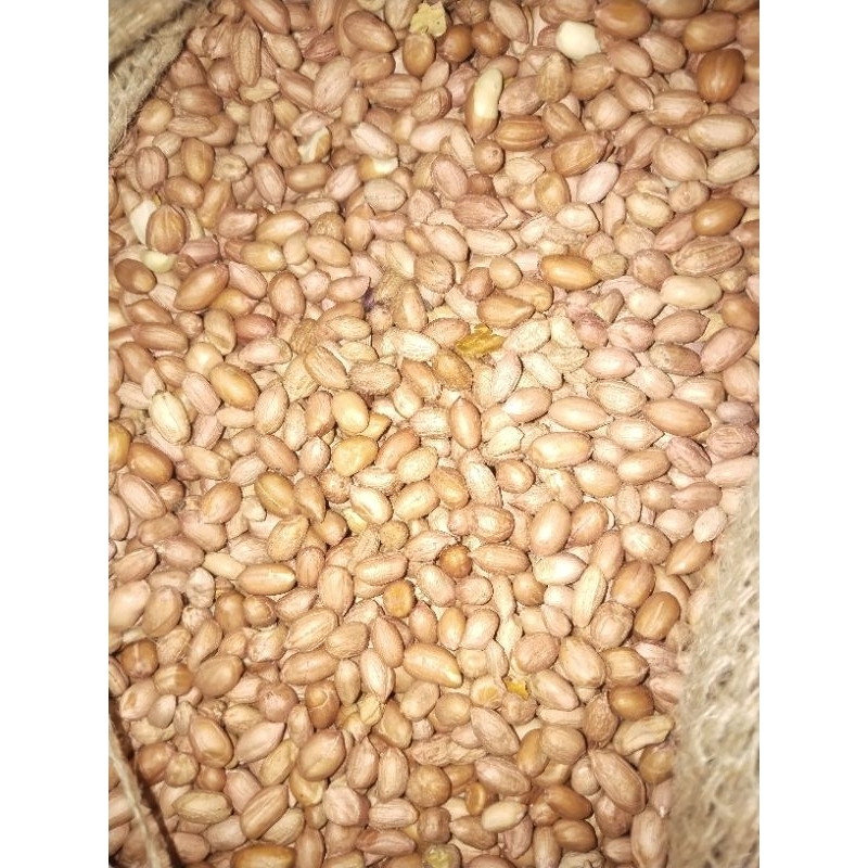

Kacang Tanah kiloan (1kg)