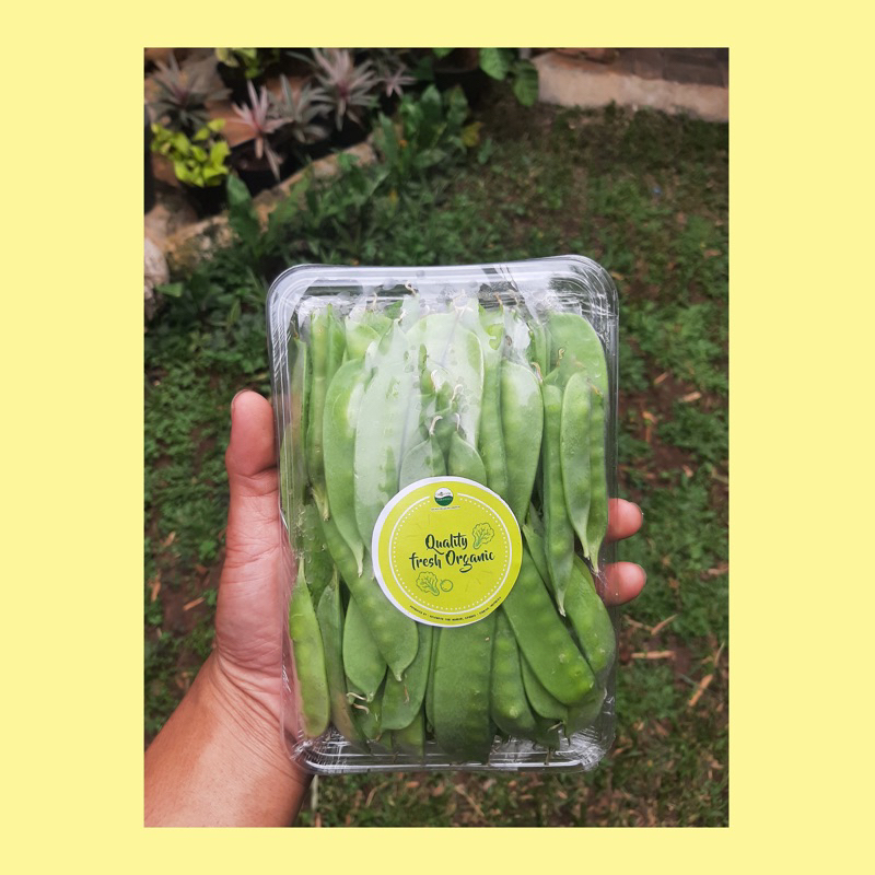

Kacang kapri organik