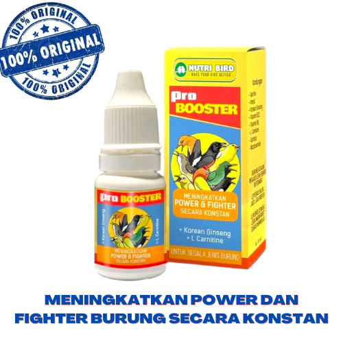 PRO BOOSTER Meningkatkan POWER dan FIGHTER Burungm