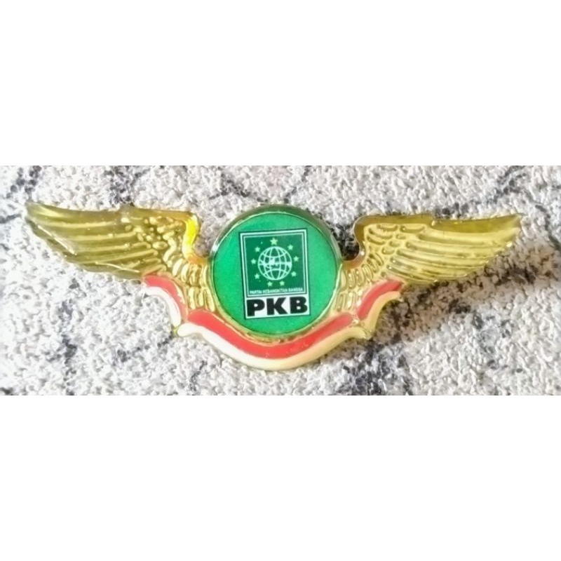 PIN PARTAI PKB