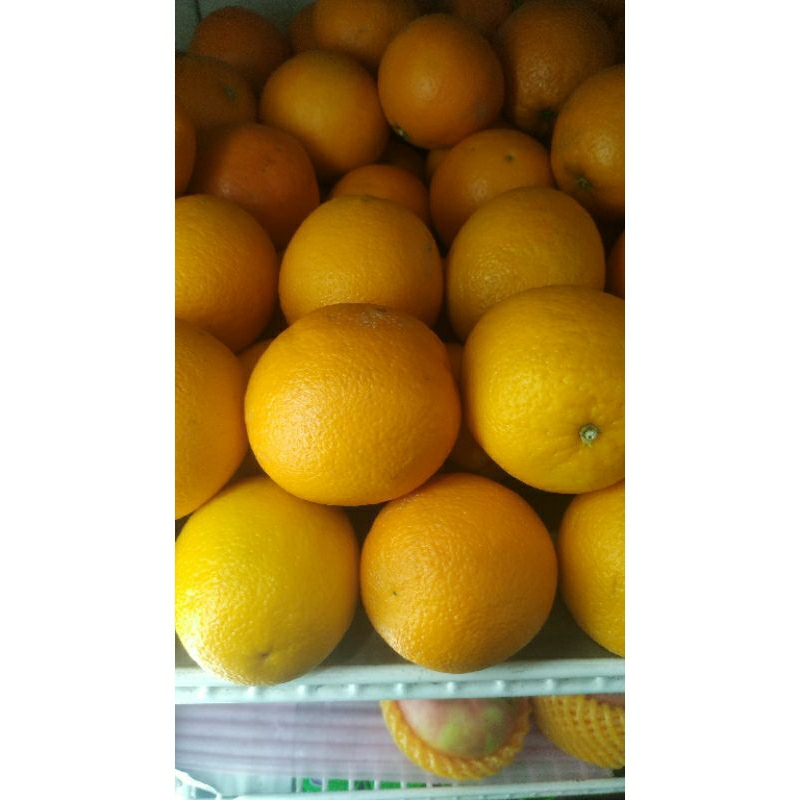 

JERUK SUNKIS 500 gram