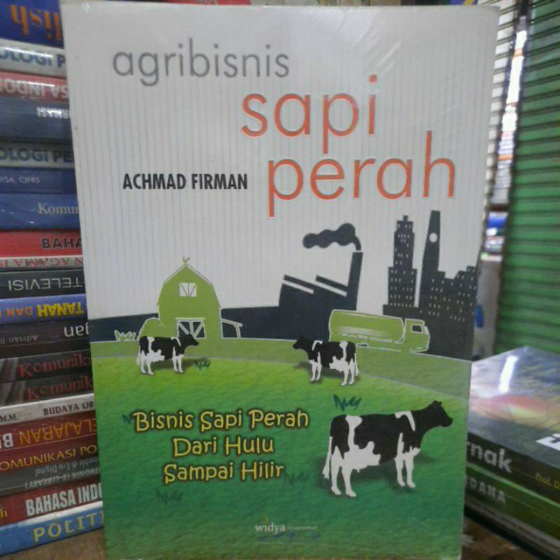 Agribisnis sapi perah.
