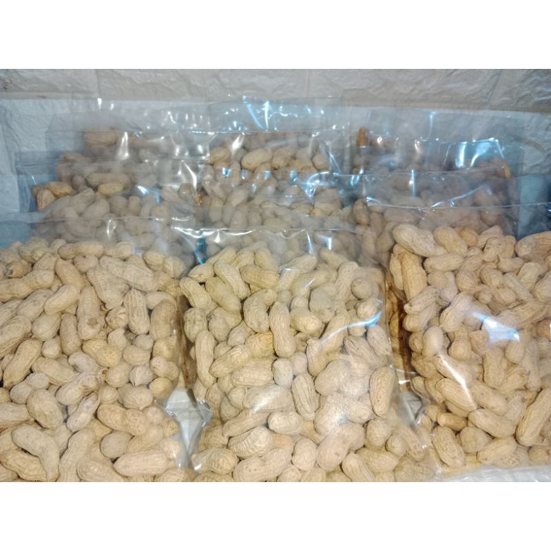 

[500] KACANG KULIT OVEN