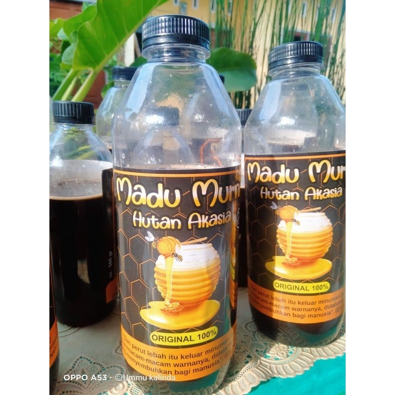 

Madu Murni akasia
