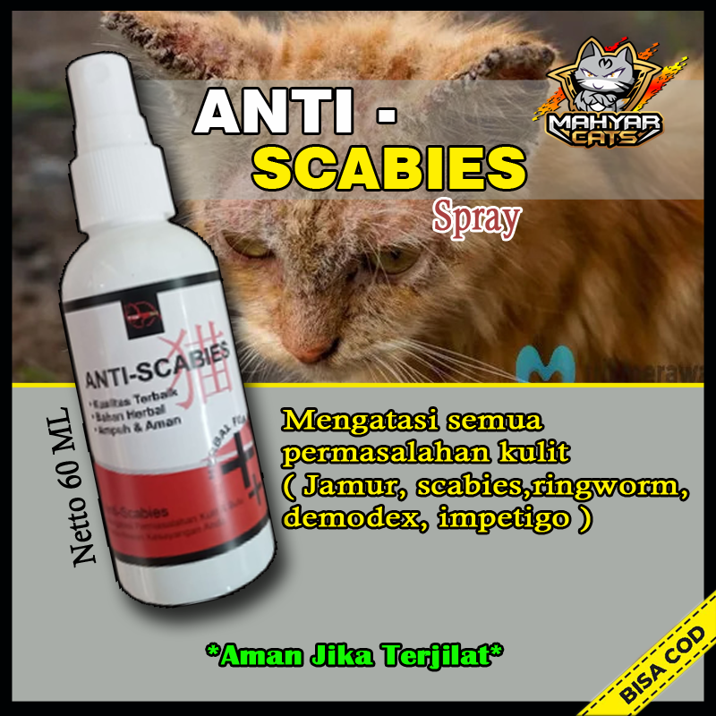 ( 02 ) ANTI SCABIES Obat Jamur Kucing Obat Kulit Scabies Demodex Impetigo Jamur Kutu Parasit Cacing Hati Gatal Kulit 60ml clever solution olivecare