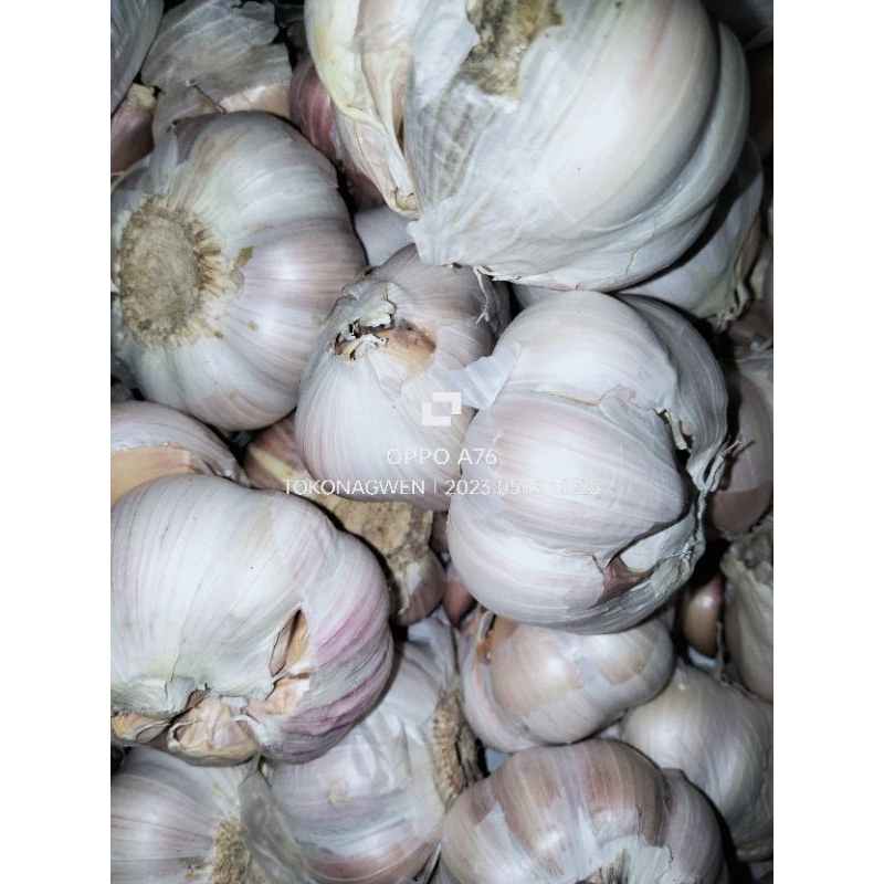 

BAWANG PUTIH SINCO 500G