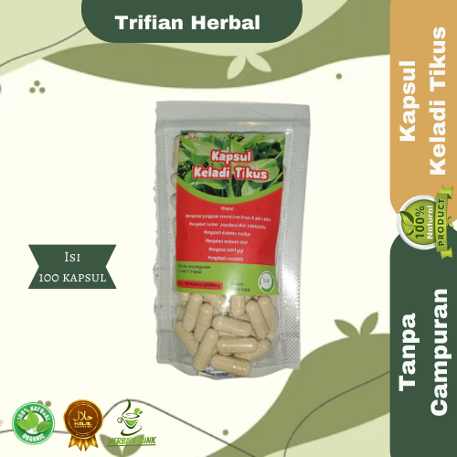 Kapsul herbal keladi tikus isi 100 kapsul untuk kesehatan  trifian herbal