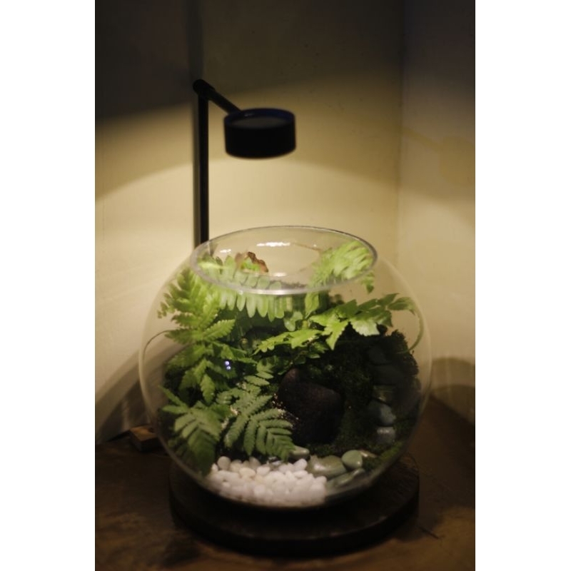 LAMPU AQUARIUM DLX / LAMPU AQUARIUM BOWL / LAMPU AQUARIUM BULAT