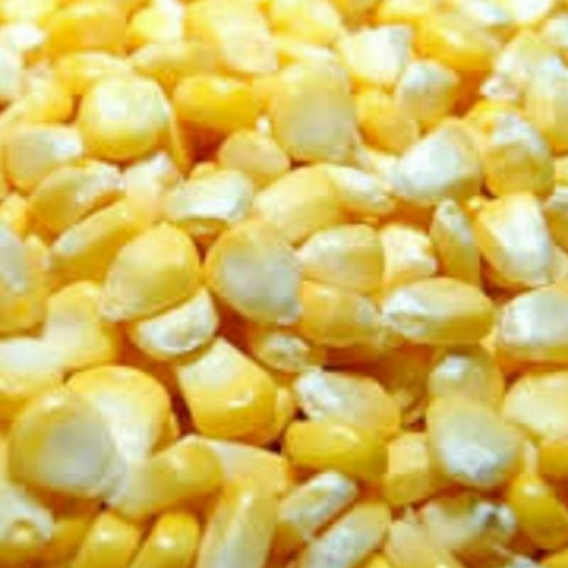 

Jagung pipil segar 200 gr