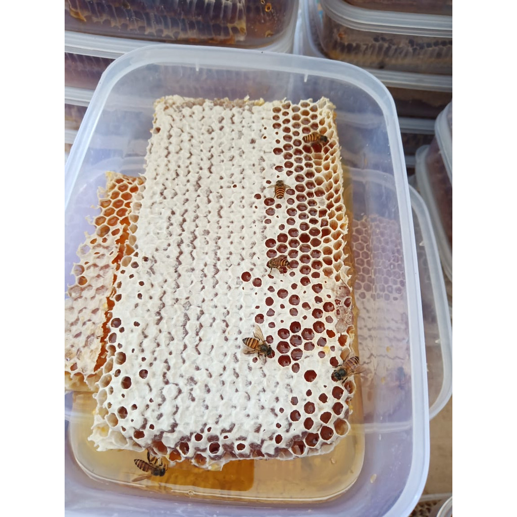 

Sarang Madu Mellifera 500 Gram Murni Budidaya Bee Wax | Honey Comb | Rumah Madu Pacet