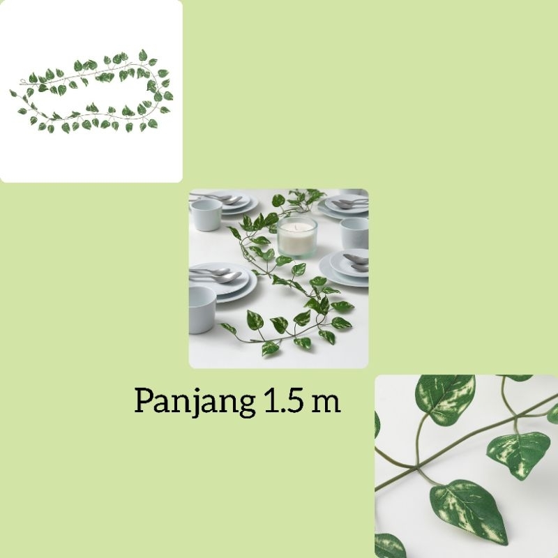 Garland Artificial Daun Rambat Bulat hias pagar dinding Begonia / Sirih Gading / Ivy/ Mawar Putih Pa