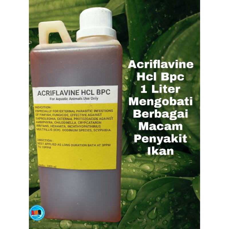 Acriflavine Hcl Bpc 1liter/Acriflavine 1liter/Obat Ikan 1 liter