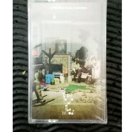 Kaset Pita Tracey Thorn - out of the wood