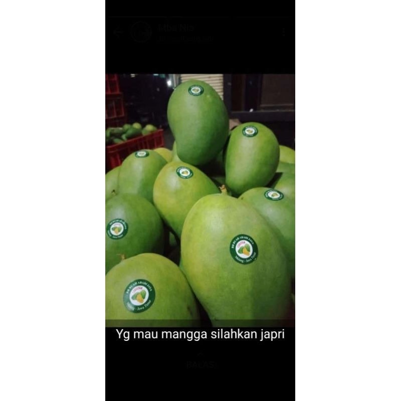 

MANGGA HARUM MANIS