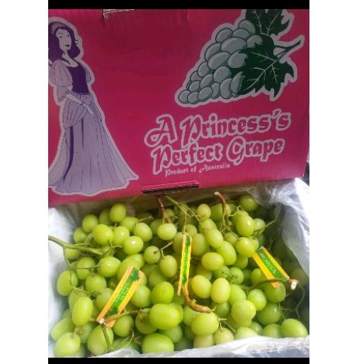 

Anggur green princess super sweet super Crunchy 1 kg