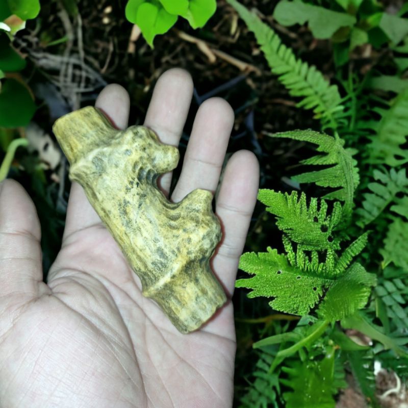 Batu Bambu petuk asli temuan